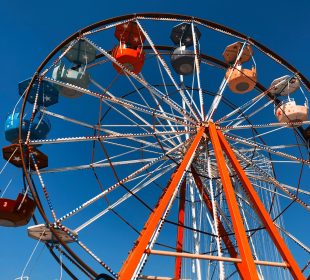 Top 5 Amusement Parks in San Francisco to Visit this Spring
